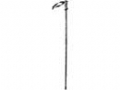Walking stick